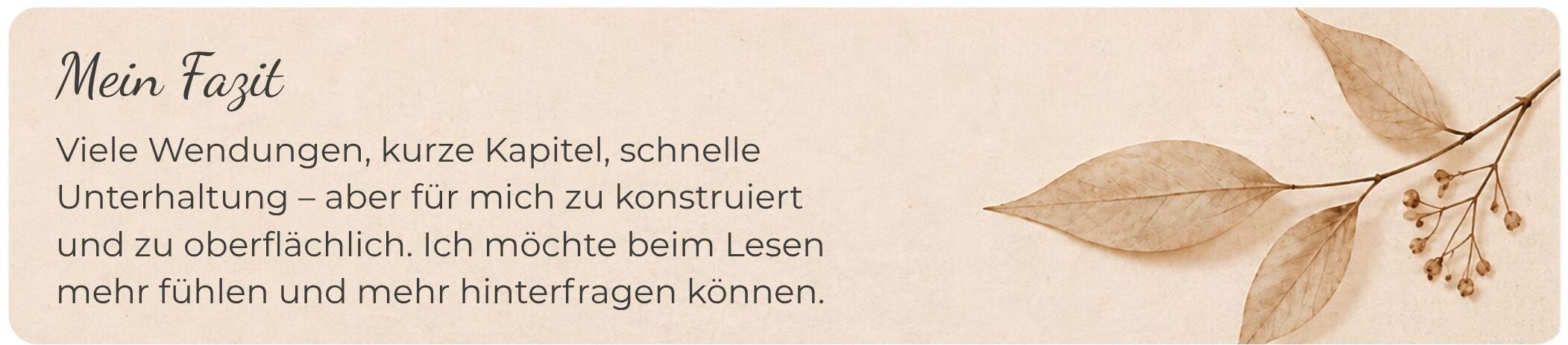 Beige Textgrafik mit getrockneten Blättern und der Überschrift „Mein Fazit“. Der Text beschreibt das Buch als unterhaltsam, aber zu konstruiert und oberflächlich, und den Wunsch nach mehr Gefühl und Tiefe beim Lesen.