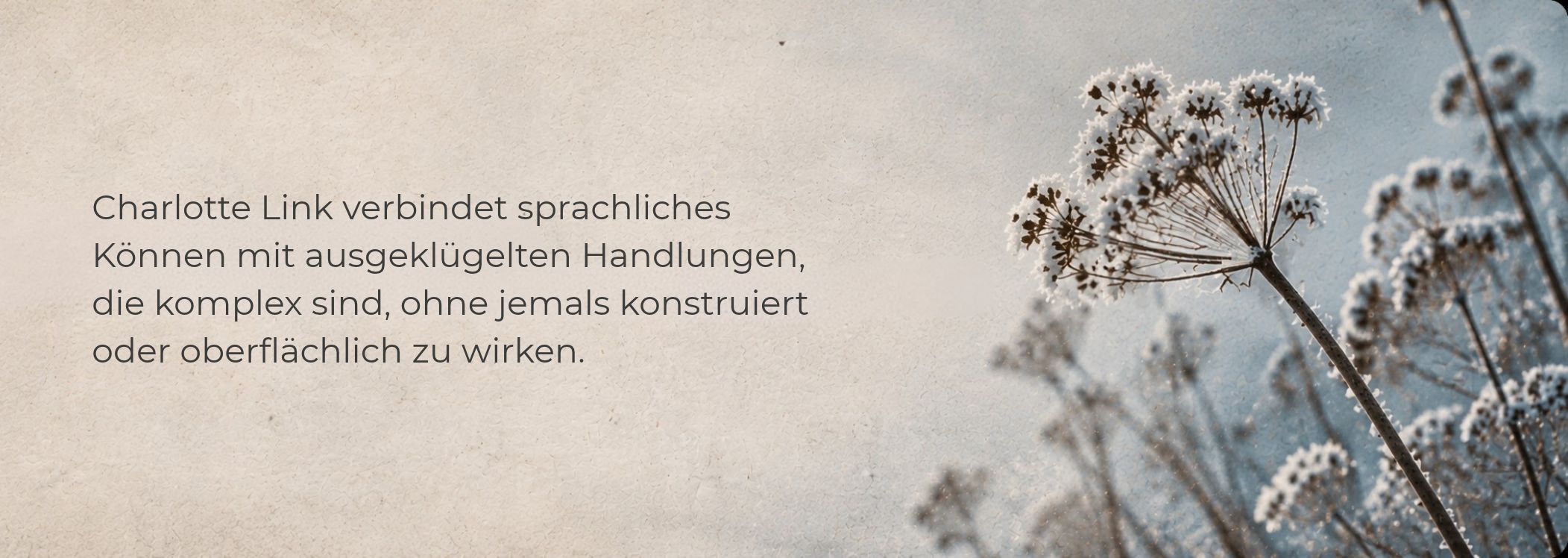 Kalte Tage Charlotte Link persönliche Einordnung